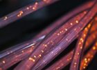 fibernet